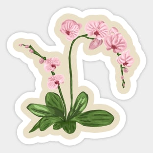 Orchid Botanical Sticker